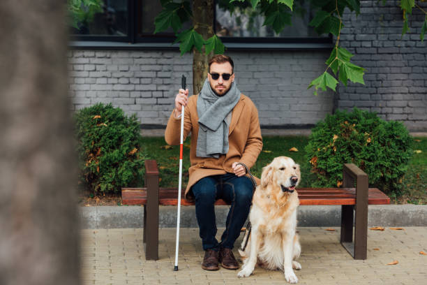 istock Blind man sitting on bench beside guide dog on street 1193127218