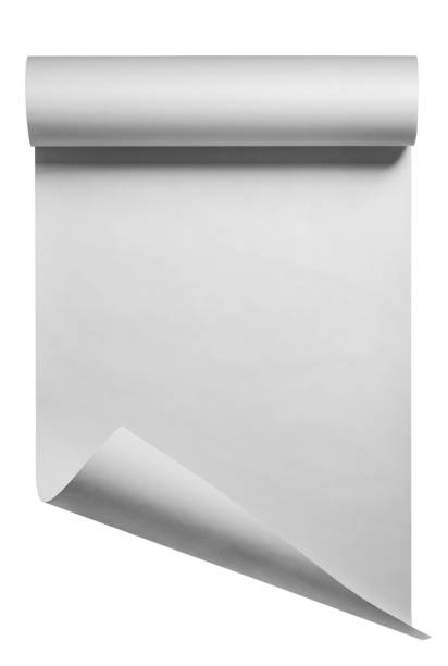 istock Roll of blank white paper, isolated 1193127865