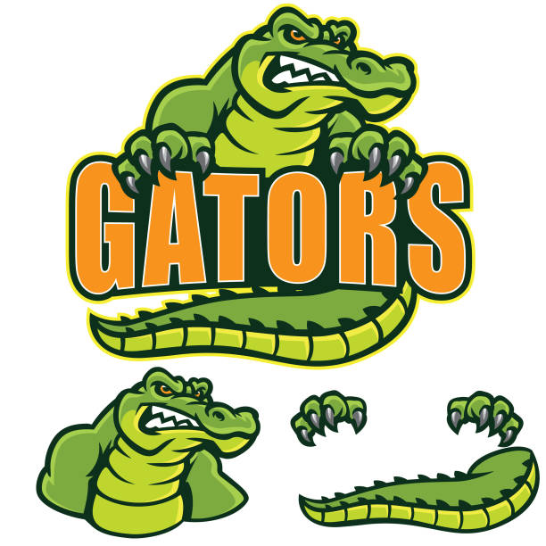 illustrations, cliparts, dessins animés et icônes de signe de gators - alligator