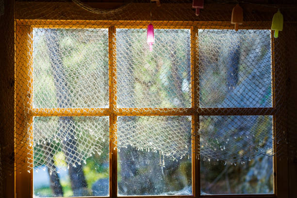 istock Vintage wooden window 1193127993