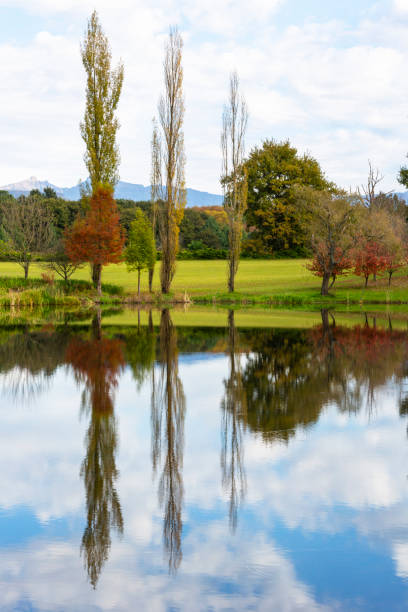 istock Autumn trees reflection on mirror-like pond 1193128975