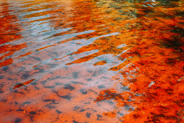 istock Red water of amazonian river, tropical rainforest 1193130669