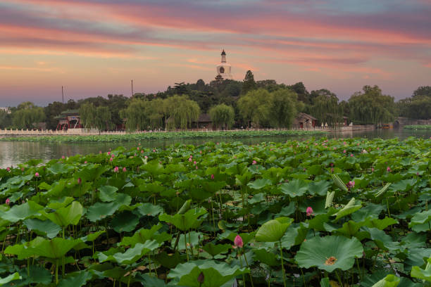 istock Beihai Park is an imperial garden 1193131720