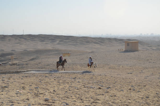 donkey and camel riding at ruined of djoser step pyramid. - the step pyramid of zoser imagens e fotografias de stock