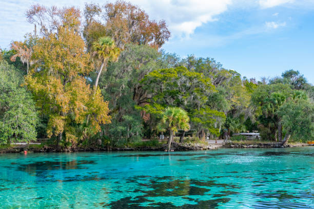 istock Ocala National Forest - Silver Glen Springs 1193132020