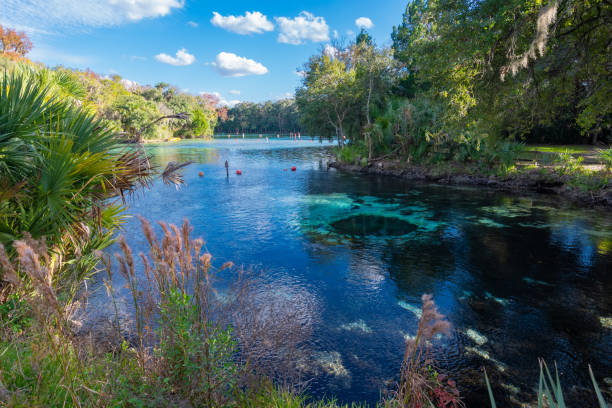 istock Ocala National Forest - Silver Glen Springs 1193132038