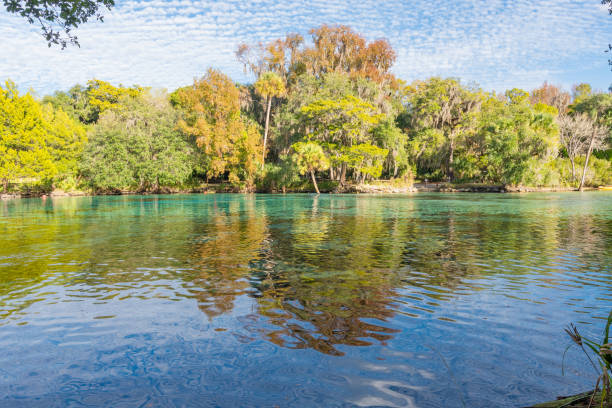 istock Ocala National Forest - Silver Glen Springs 1193132076