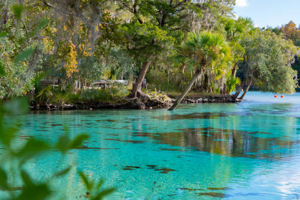 istock Ocala National Forest - Silver Glen Springs 1193132103