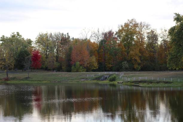istock Evening at the Lake 1193132263