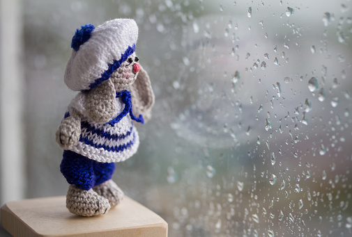 Tiny knitted bunny looking to the rain-drenched window