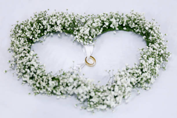 arranjadores brancos dados forma do coração da flor - double ring - fotografias e filmes do acervo