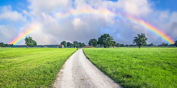 camino al arco iris - meadow single lane road nature field fotografías e imágenes de stock