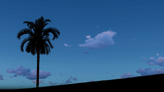 Palm Tree At Night 3D Rendering