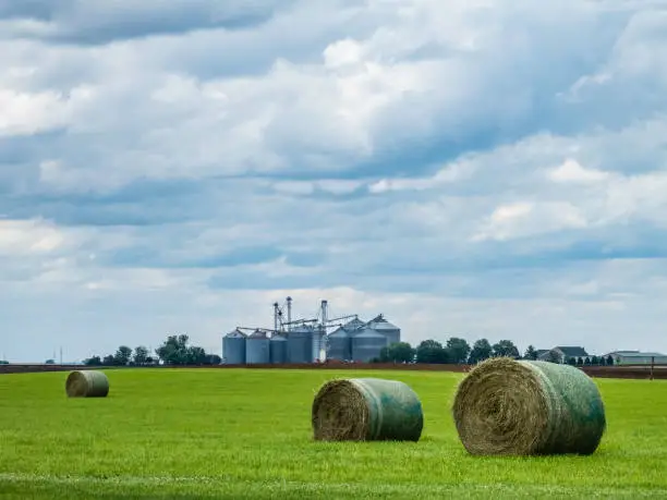 Three bales of hay on a green grassy field near a grain elevator complex on a cloudy day in spring, northern Illinois, USA. Foreground focus. For agricultural, rural, and seasonal themes.
