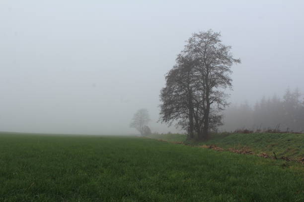 istock Land in the fog 1193147772