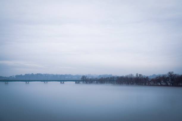 bare trees and bridge with fog - bare tree winter plants travel locations imagens e fotografias de stock