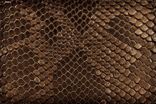 istock Brown snake skin, as background. Reptile. 1193153865