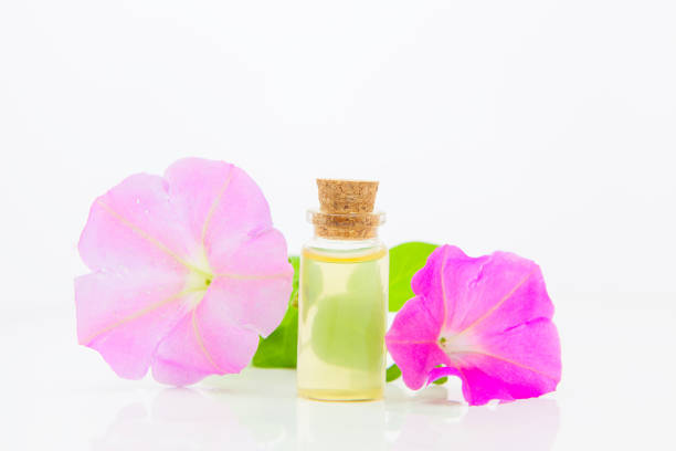 istock mallow essential oil in  beautiful bottle on White background 1193155383