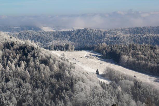 ベスキッド・サデッキの冬の山道クシゾワ。ヤヴォ�ルジナ・クリニッカ山からの眺め。 - lesser poland ストックフォトと画像