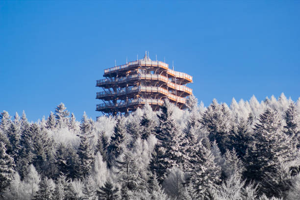 torre de observação da copa de árvore na estação de esqui da arena de slotwiny no recurso de krynica-zdroj no inverno. vista da montanha de jaworzyna krynicka. - ski arena - fotografias e filmes do acervo