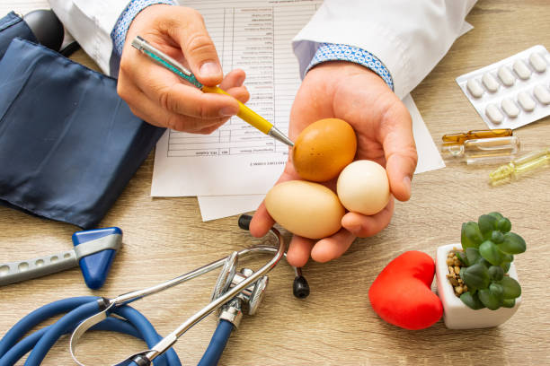 의사 영양사는 그의 손에 개최 상담 중 환자 생 계란을 보여줍니다. 음식과 식단에서 닭고기 계란의 사용에 대한 상담 및 설명, 건강 상의 이점, 신체 및 장기에 미치는 영향 - bird brain 뉴스 사진 이미지