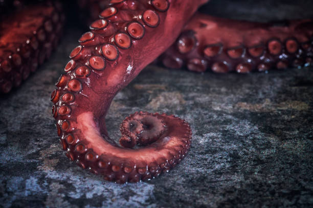 istock Octopus Tentacles with Sea Salt and Fresh Lemon 1193156937