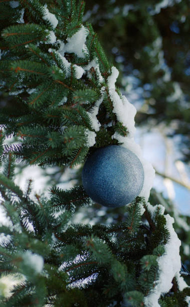 istock Blue cristmass tree drop on green fir tree 1193157627