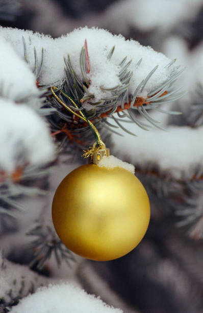 istock Close up on gold cristmass tree drop on green fir tree 1193161177