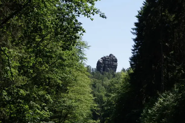 Elbesandstone rock spotted from the Amselgrund in Saxon Switzerland, Germany