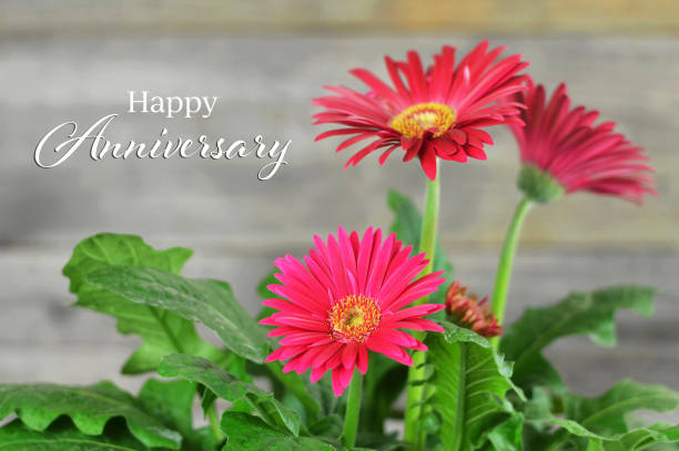 istock Happy Anniversary card with gerbera flowers 1193163557