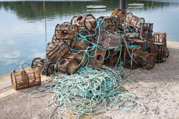 100+ Stacked Fish Traps Stock Photos, Pictures & Royalty-Free Images -  iStock