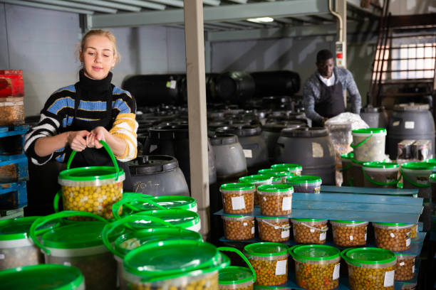 istock Girl arranging plastic buckets with pickled olives 1193167583