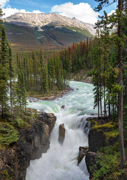 istock Rocky Mountains, Alberta, Canada 1193167840