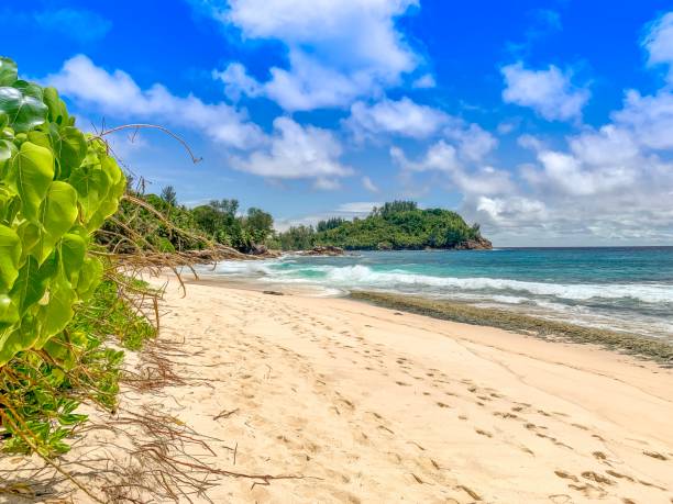 istock Beautiful Beach at the Seychelles 1193168910