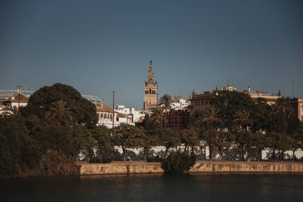 istock Giralda tower in Seville, Spain 1193170030