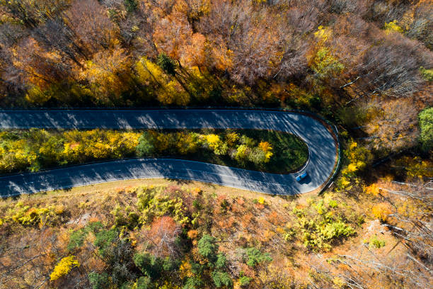 istock Car on Winding Road Through Autumn Forest, Aerial View 1193170087