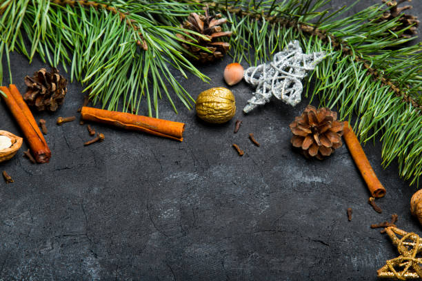 istock Beautiful Christmas Background with copy space for your text. Pine branch, cones, cinnamon and nuts 1193170309