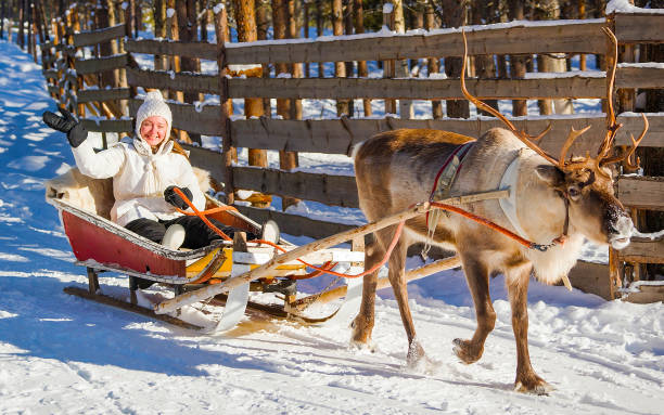istock Woman while reindeer sledge ride in winter Rovaniemi reflex 1193172312