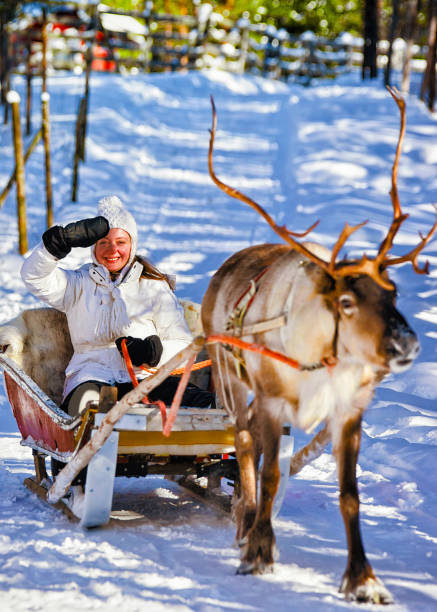 istock Woman while reindeer sled ride in winter Rovaniemi reflex 1193172326