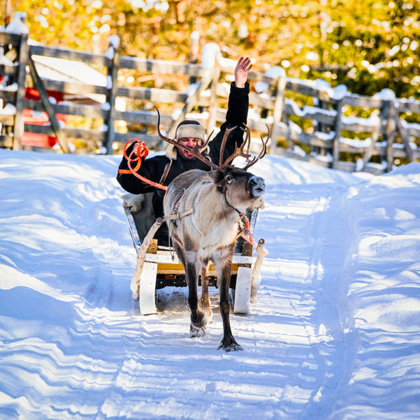 istock Man while reindeer sledge ride at winter Rovaniemi Northern Finland reflex 1193172357