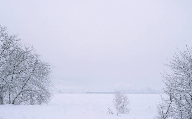 istock Train on the railway in field. Winter time 1193172736