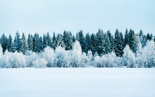 Winter road with snow in Finland. Landscape of Lapland in Europe. Forest along highway during ride. Snowy trip. Cold driveway. Driving in Finnish motorway on north Rovaniemi village. View with tree