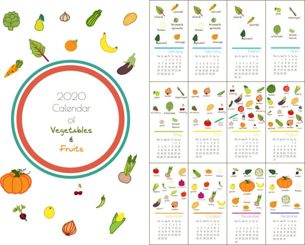 ilustrações, clipart, desenhos animados e ícones de calendário 2020 com legumes e frutas mensais - asparagus vegetable food fruit