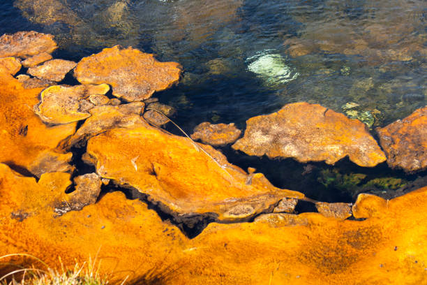 istock Yellowstone National Park 1193174765