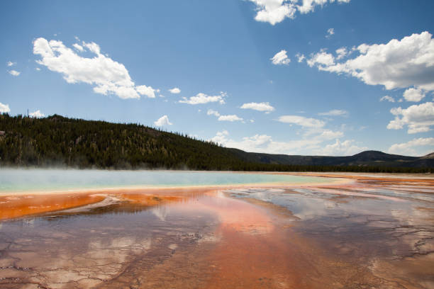 istock Yellowstone National Park 1193174928