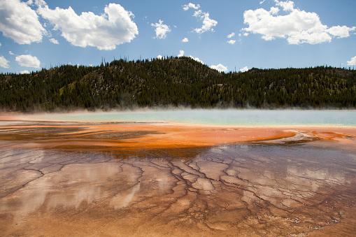 Colored bacteria mats around the lake