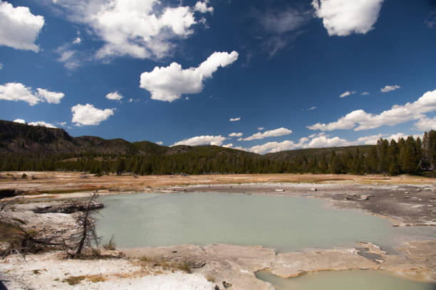 istock Yellowstone National Park 1193175214