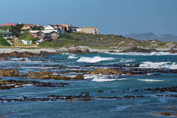 istock Kelp in the bay in Kleinbaai 1193175225