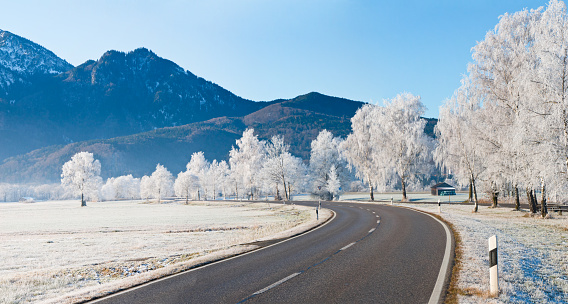 Panoramic view of a winterly country road with rime covered birch trees