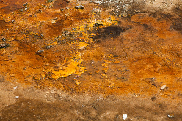 istock Yellowstone National Park 1193175897